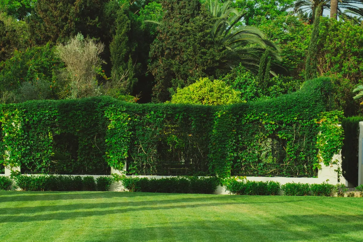 Converting Garden Land into a Separate Building Plot: Rules and Risks